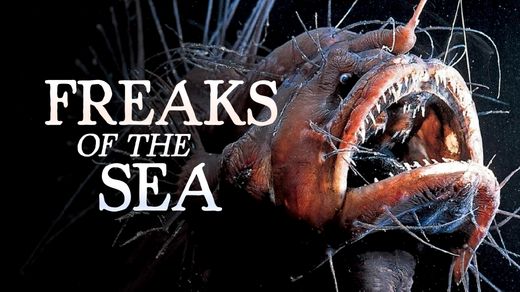 Freaks of the Sea