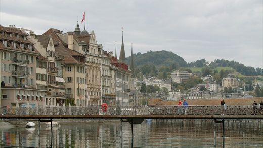 Curious Lucerne