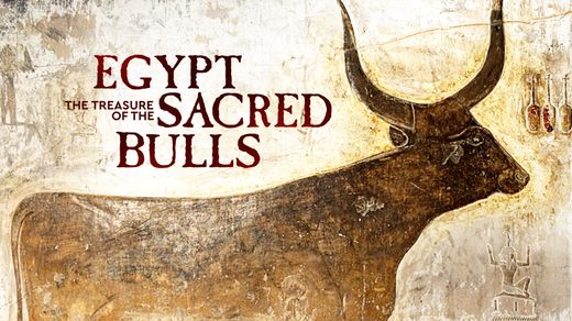 Egypt: The Treasure of the Sacred Bulls