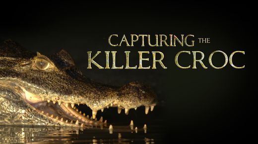 Capturing The Killer Croc