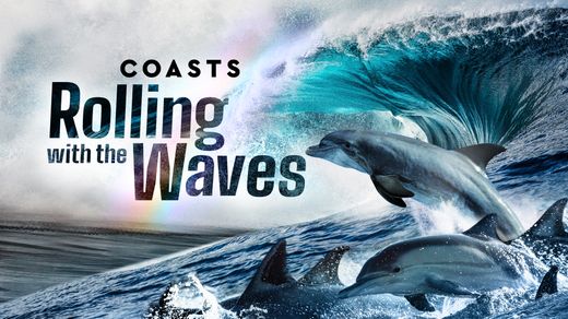 Coasts: Rolling with the Waves