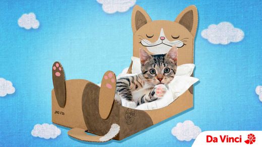 Cat Bed