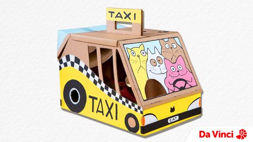 Cat Taxi