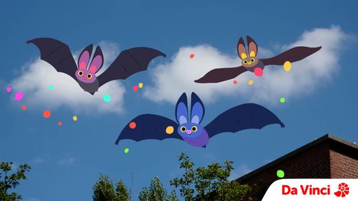 In the Name of the Bats