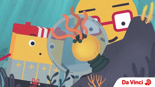 Corals and Reefs