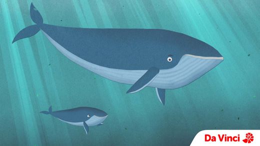 The Biggest Animals