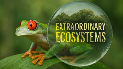 Extraordinary Ecosystems