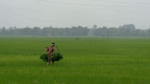 The Impact of Rain