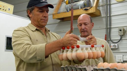 Mennonite Chicken