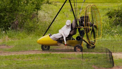 Whooping Cranes