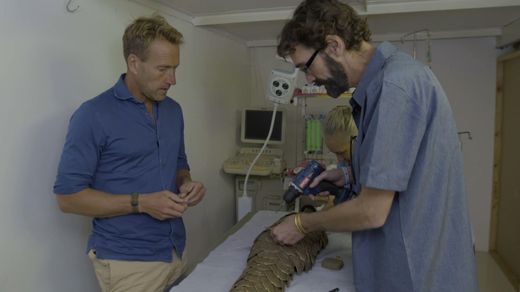 The Illegal Animal Trade