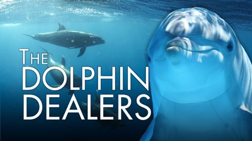 The Dolphin Dealer