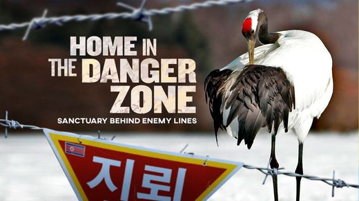 Home in the Danger Zone