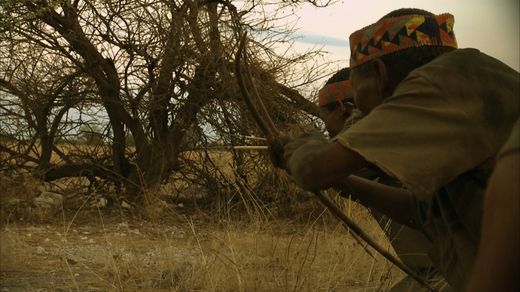 Kalahari Killers