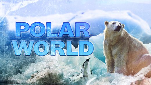 Polar World