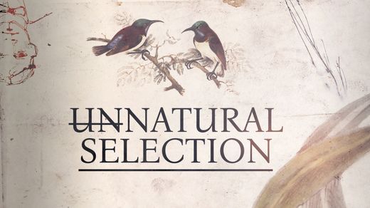 Unnatural Selection 4K