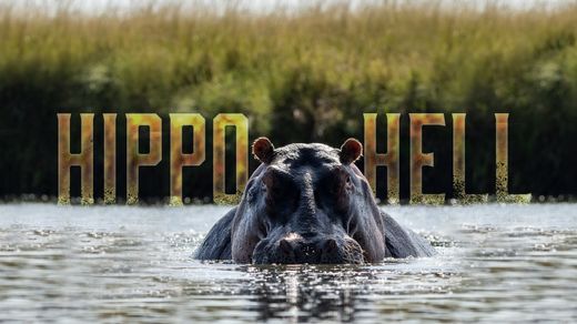 Hippo Hell