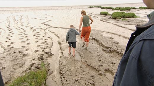 Rescuing a Mesolithic Foreshore