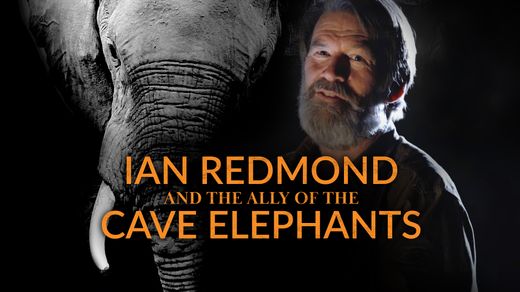 Ian Redmond and the Ally of the Cave Elephants