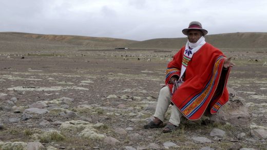 Living with Alpacas in the Peruvian Andes