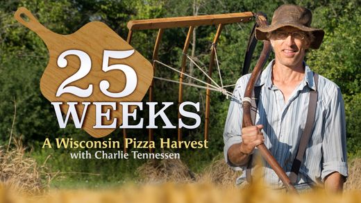 25 Weeks: A Wisconsin Pizza Harvest