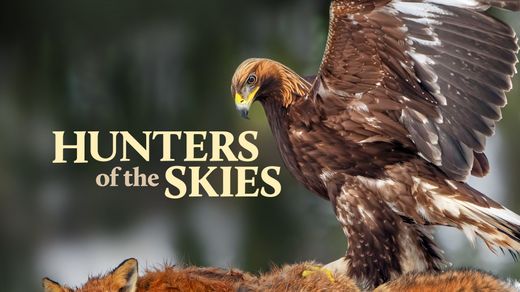 Hunters of the Skies