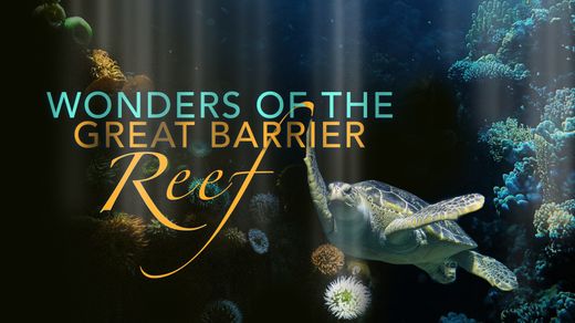 Wonder of the Great Barrier Reef with Iolo Williams