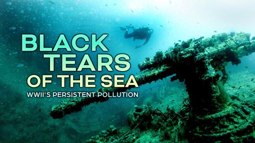 The Black Tears of the Sea