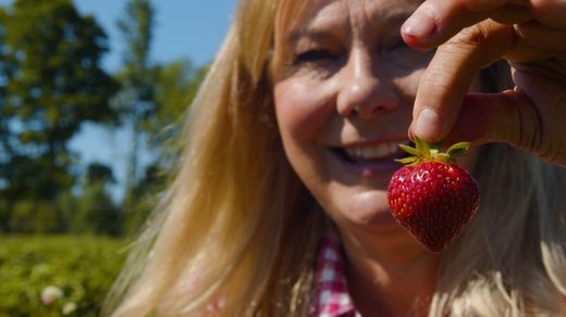 Strawberries Forever