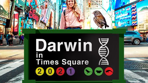 Darwin in Times Square
