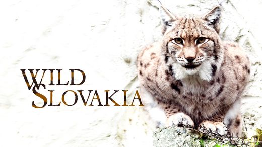 Wild Slovakia