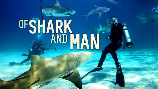 Of Shark and Man