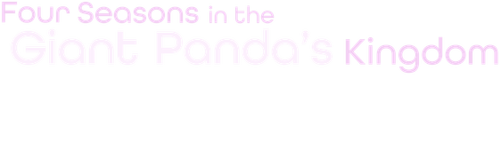4 Seasons in the Giant Panda's Kingdom