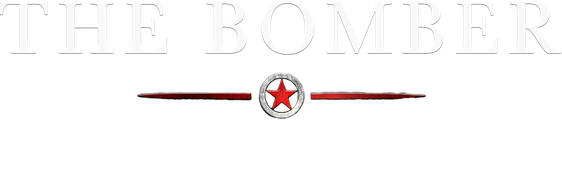 The Bomber: A Tale of Survival Behind Nazi Lines