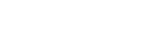 The Pilgrims: Journey Into The Unknown