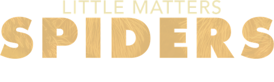 Little Matters: Spiders