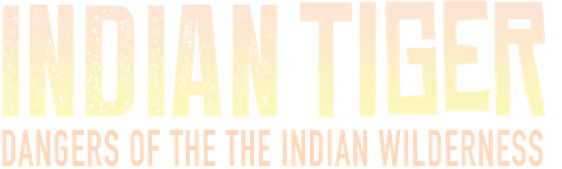 Indian Tiger