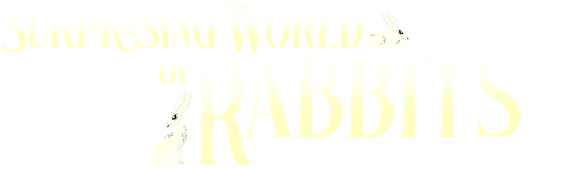 Surprising World of Rabbits