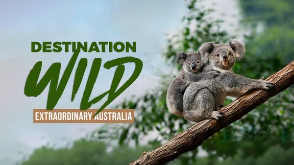 Destination Wild: Extraordinary Australia