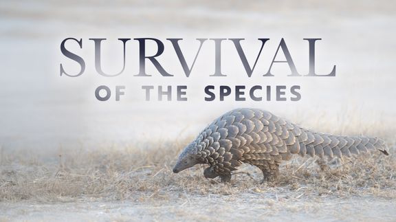 Survival of the Species