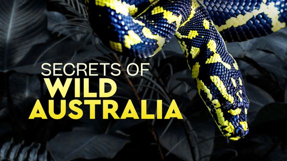 Secrets Of Wild Australia
