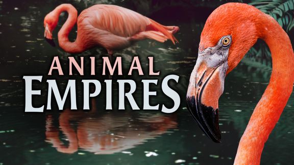 Animal Empires