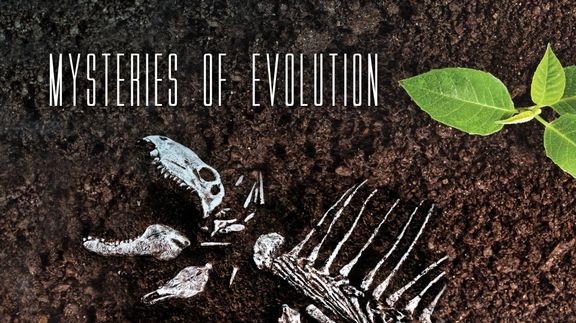 Mysteries of Evolution