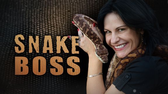 Snake Boss