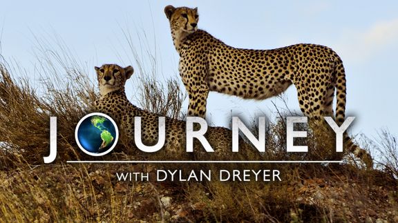 Journey with Dylan Dreyer