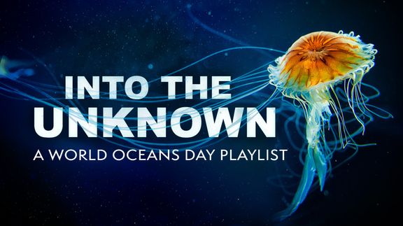 Into the Unknown: A World Oceans Day Playlist