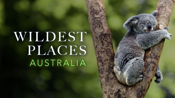 Wildest Places - Australia