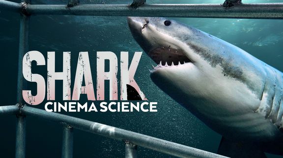 Shark Cinema Science