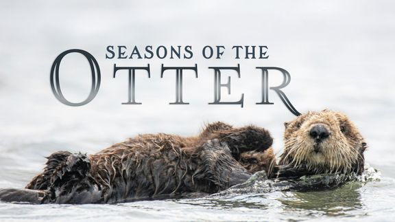 Seasons of the Otter