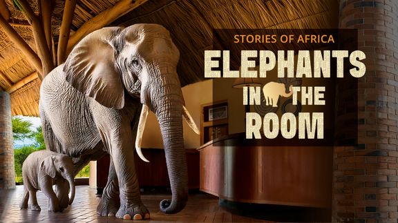 Stories of Africa: Elephants in the Room